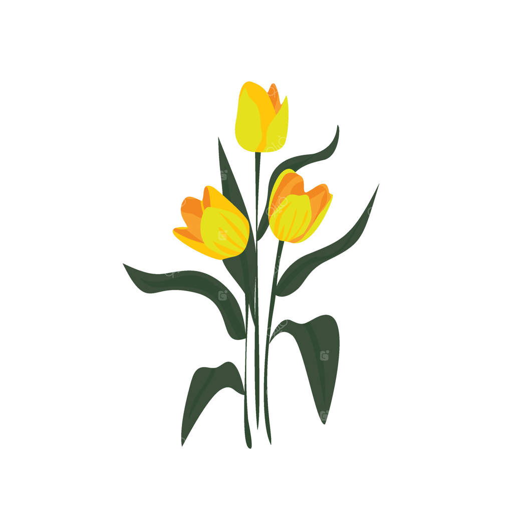 شکوفه‌های زرد آفتابی لاله، گل‌های بهاری رنگارنگ در باغی پر از طراوت