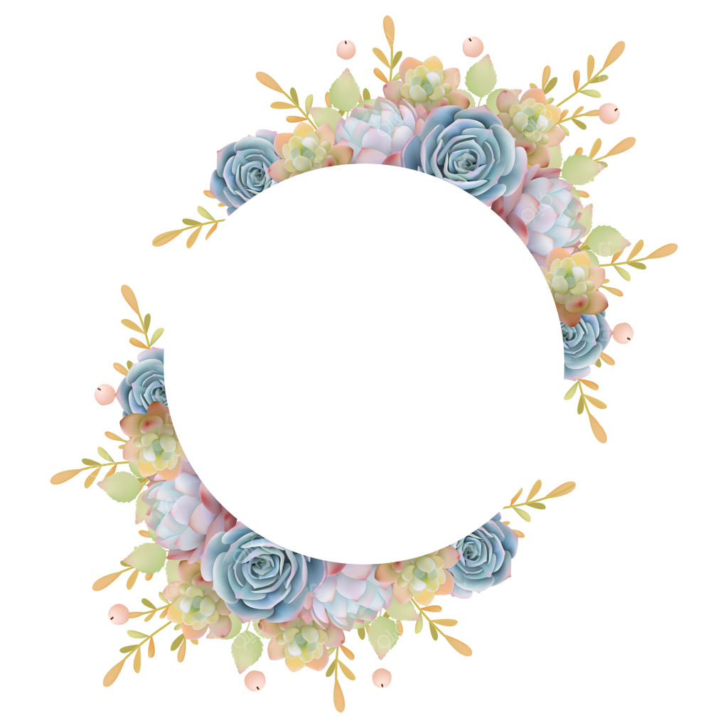 پس‌زمینه‌ی زیبا برای قاب عکس عاشقانه با گل‌های ساکولنت