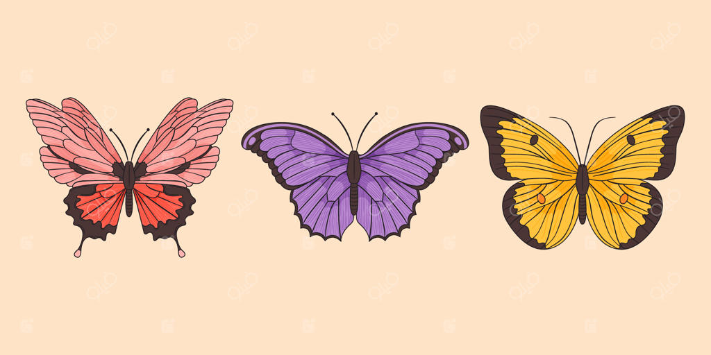 مجموعه پروانه‌های طراحی شده با دست