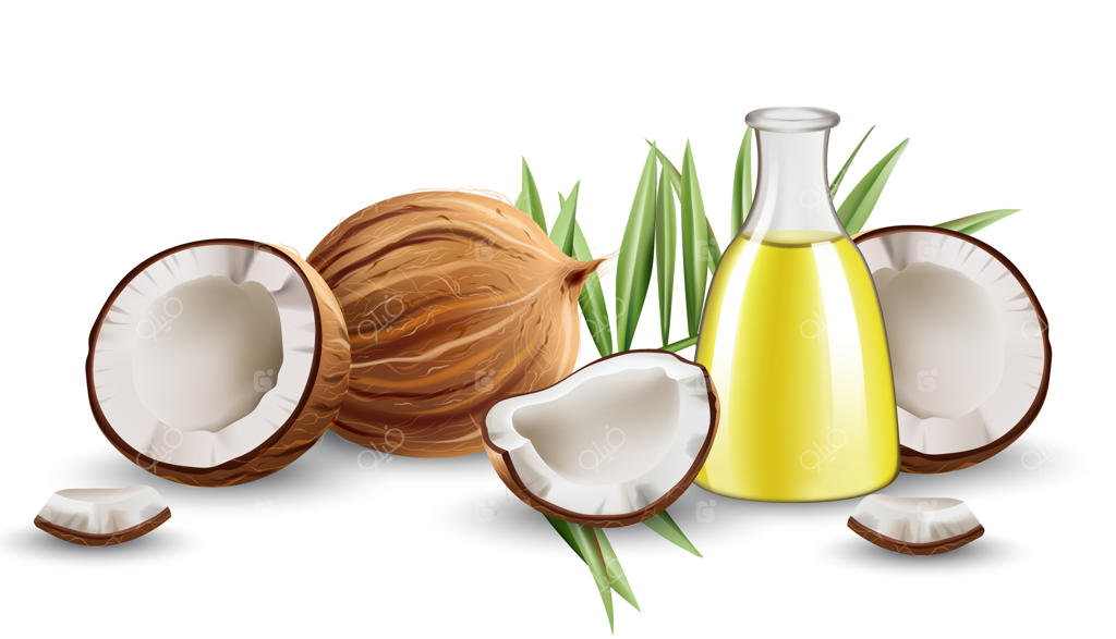 نارگیل‌های سالم و شکسته با برگ‌های مونسترا و پارچی پر از روغن. واقع‌گرایانه.