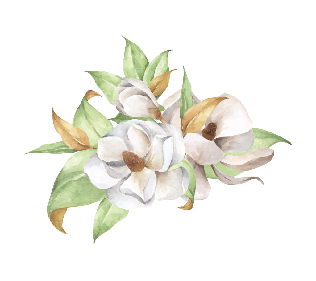 ترکیب آبرنگی گل‌ها: دسته‌گل لطیف مگنولیا