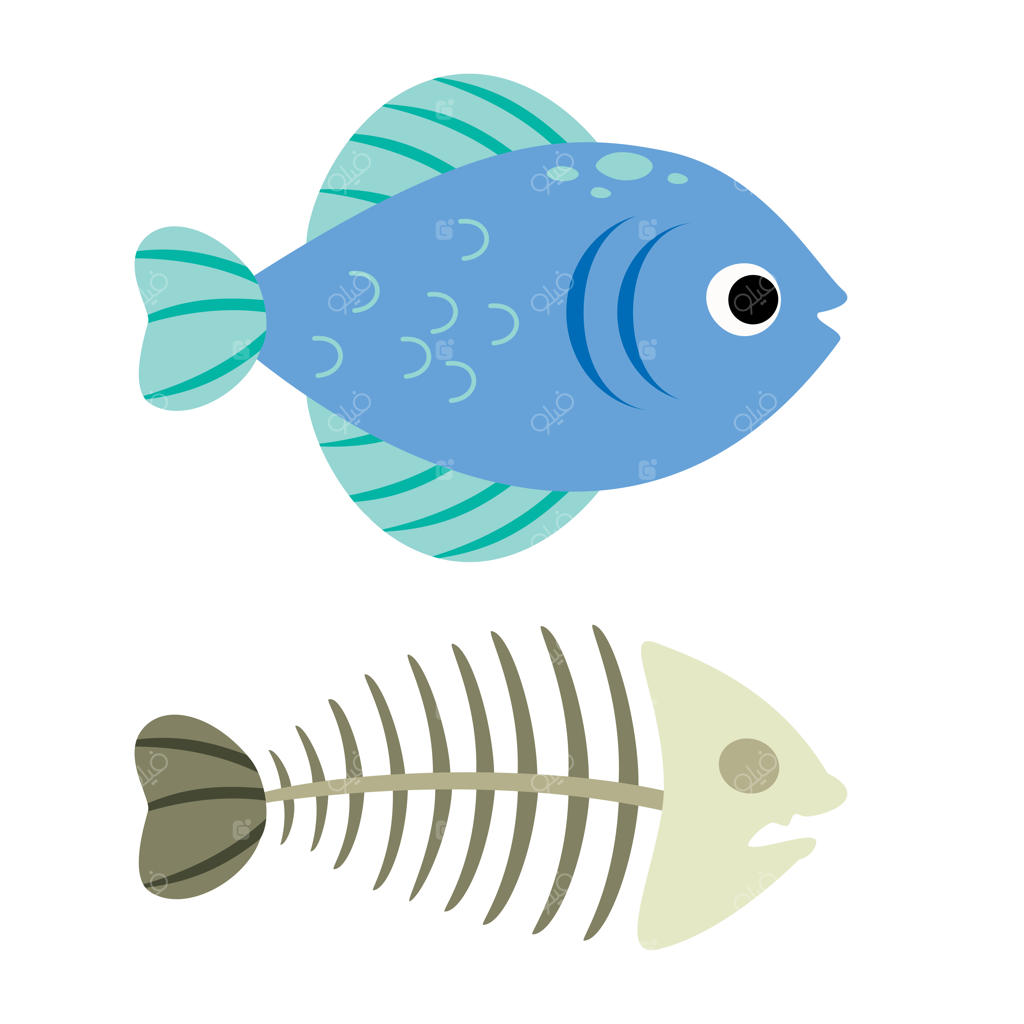 نقاشی کارتونی استخوان ماهی