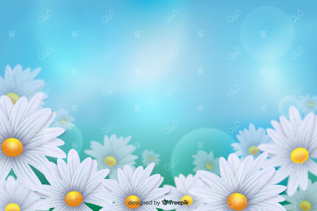 گل‌های سفید دیزی در پس‌زمینه‌ای با نور آبی