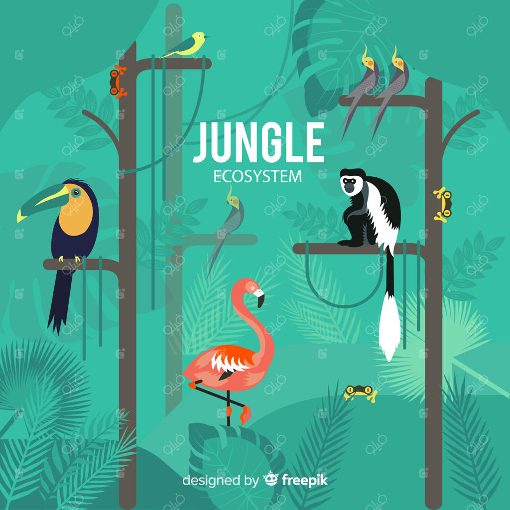 زمینه‌ای بر اکوسیستم جنگل‌ها