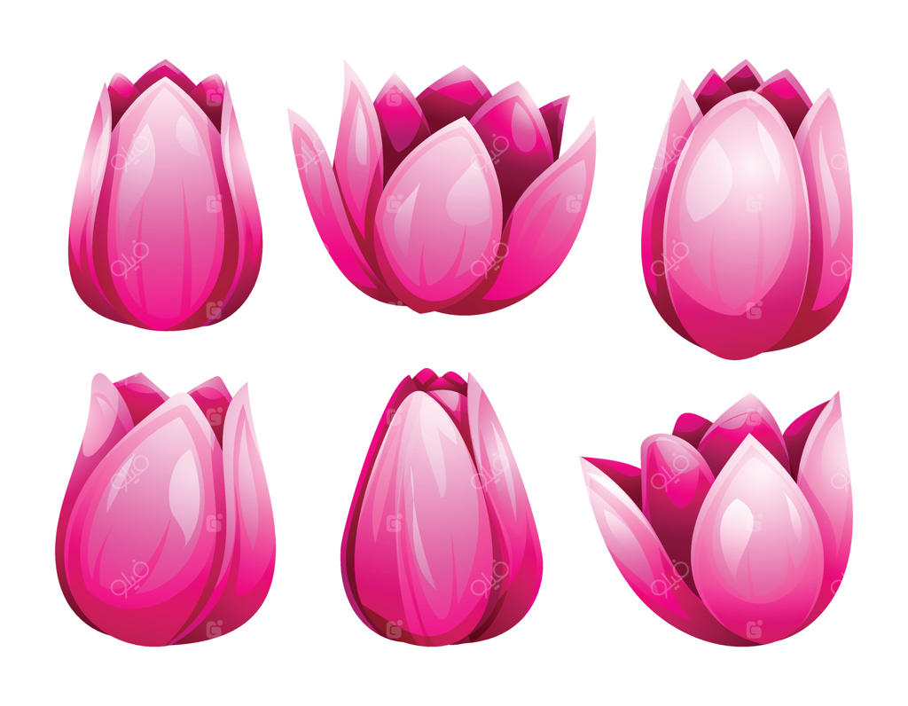 مجموعه‌ای از گل‌های لاله صورتی زیبا - تصویر کارتونی