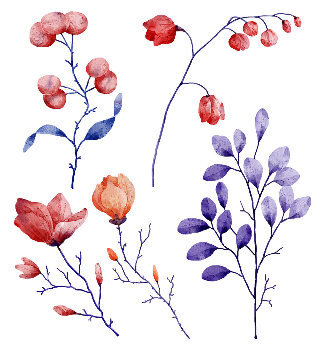 دسته‌گل زیبا و برگ‌های تزئینی به سبک آبرنگی