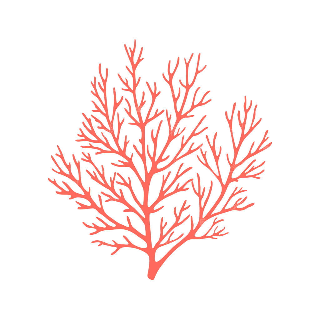 وکتور ایزوله مرجان بادبزنی، شقایق دریایی و جلبک