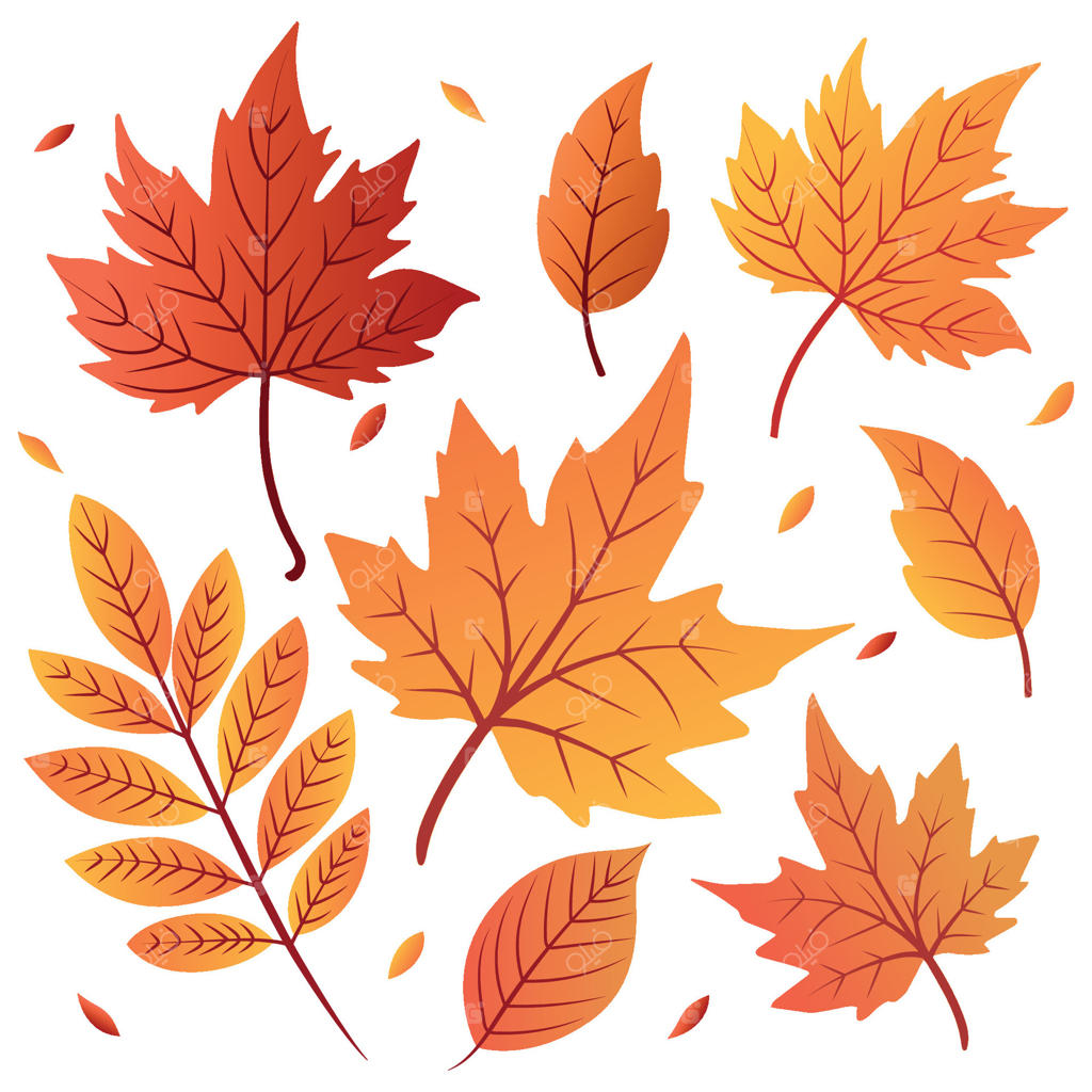 برگ‌های پاییزی رنگارنگ در اشکال و اندازه‌های مختلف. برگ‌ها با سایه‌هایی از قرمز، نارنجی و زرد، تمی زنده و پاییزی خلق می‌کنند.