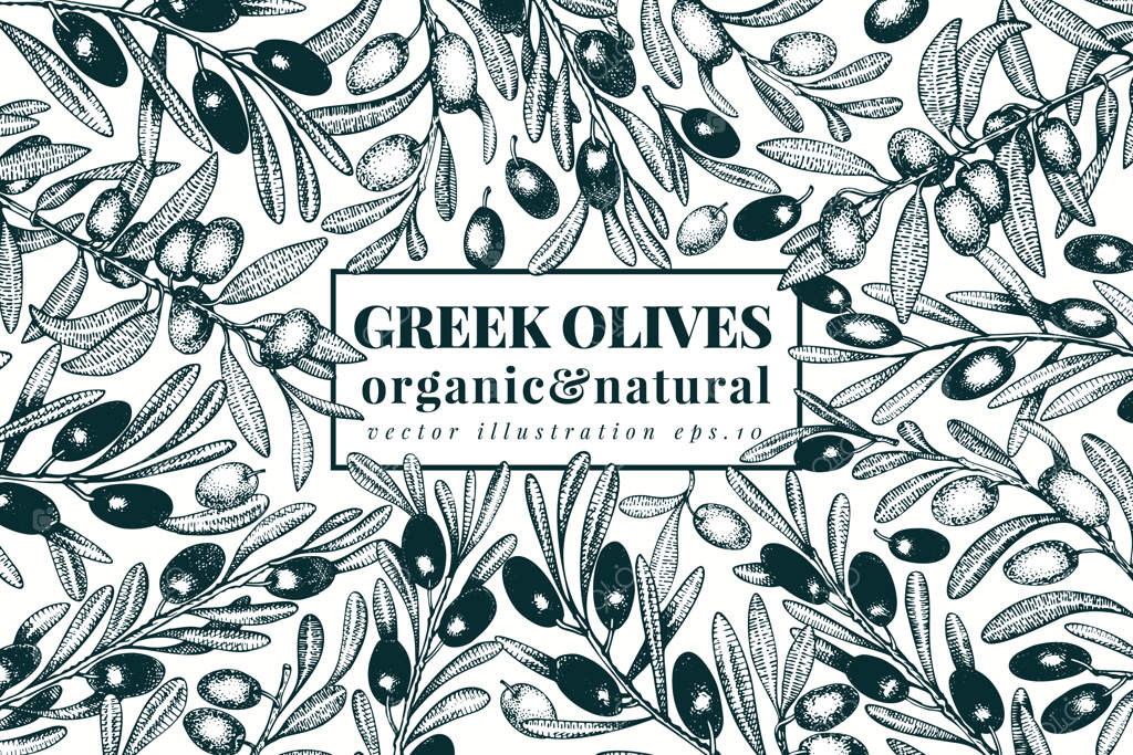 قالب بنر درخت زیتون