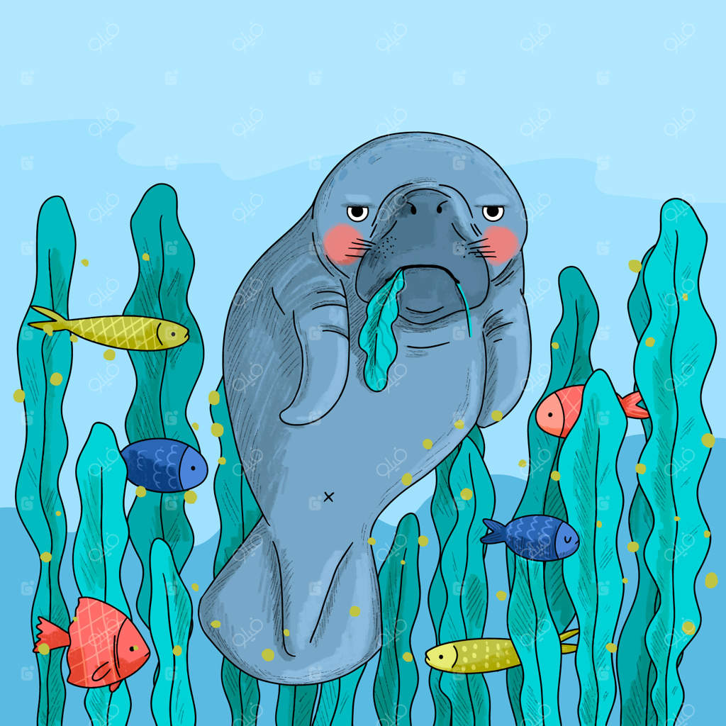 تصویرسازی حیوانات دریایی با دست کشیده شده
