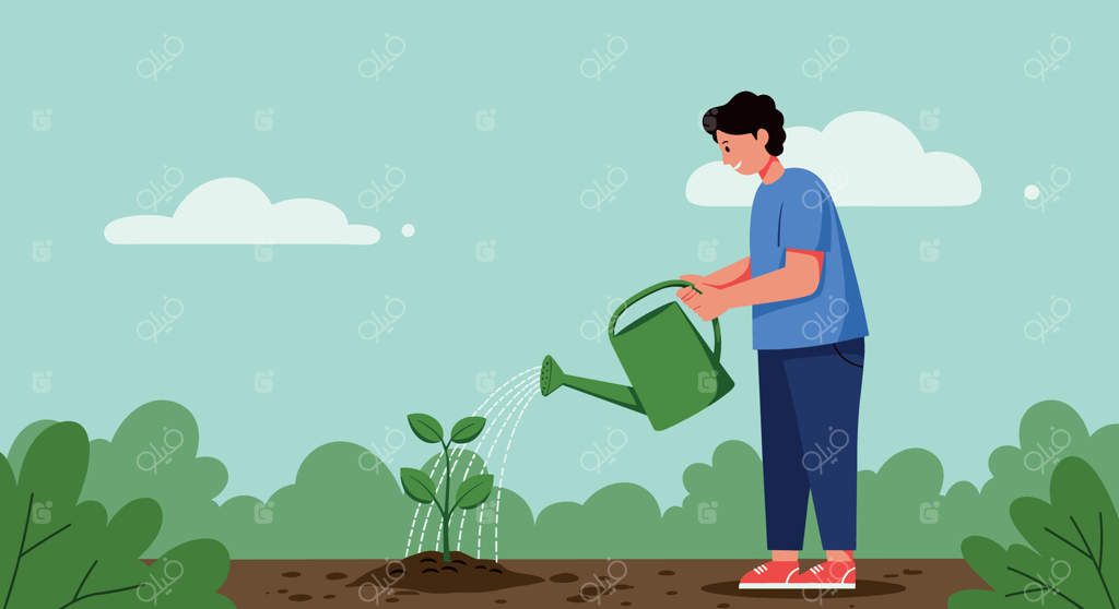 آبیاری گیاه جوان در باغچه زیر نور نرم روز. روز جهانی محیط زیست