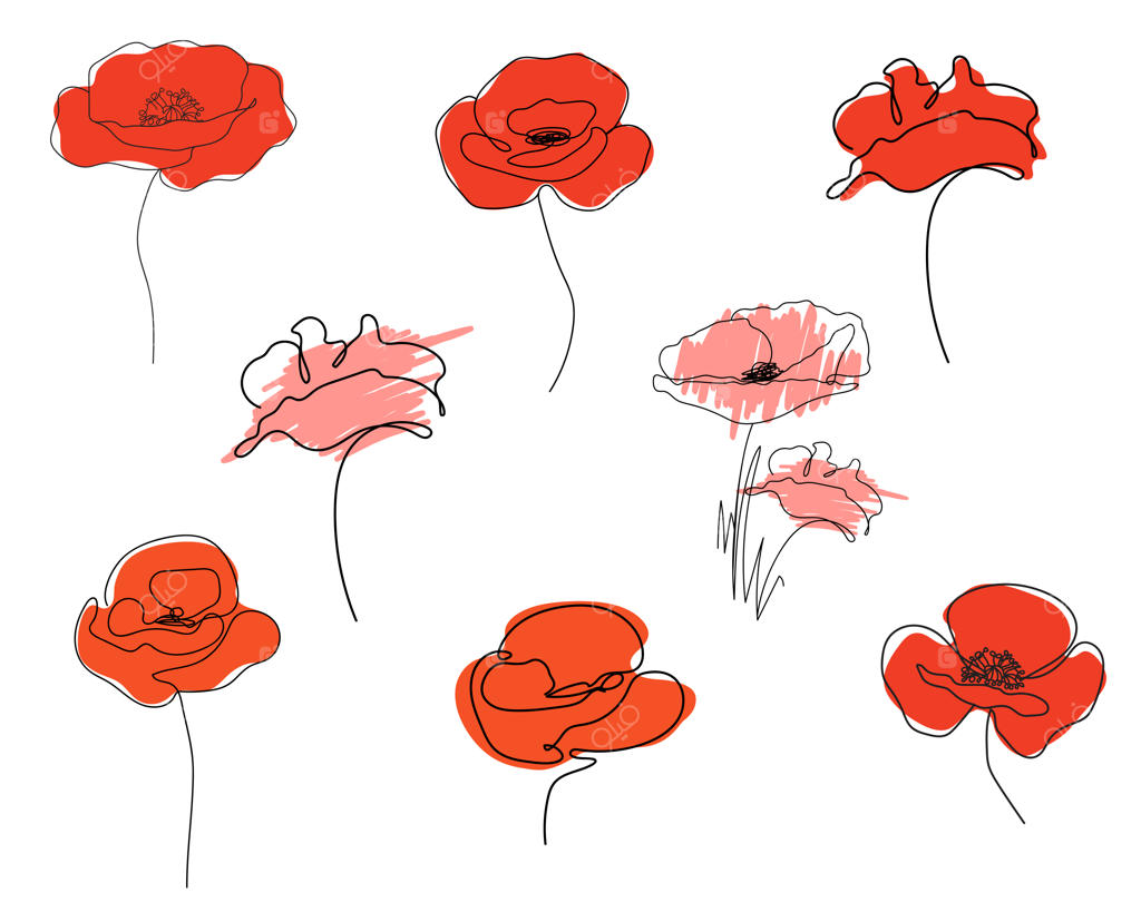 مجموعه طراحی خطی پیوسته شقایق‌های قرمز، طرح دستی انتزاعی و مینیمال