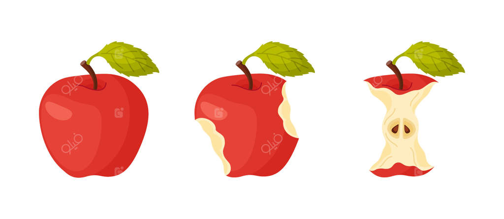 مجموعه آیکون مراحل خوردن سیب قرمز آبدار: از کامل تا نیمه و هسته. پیشرفت گاز زدن. سبک دستی تخت، جدا شده. تصویر سیب گاز زده، میوه تازه باغ.