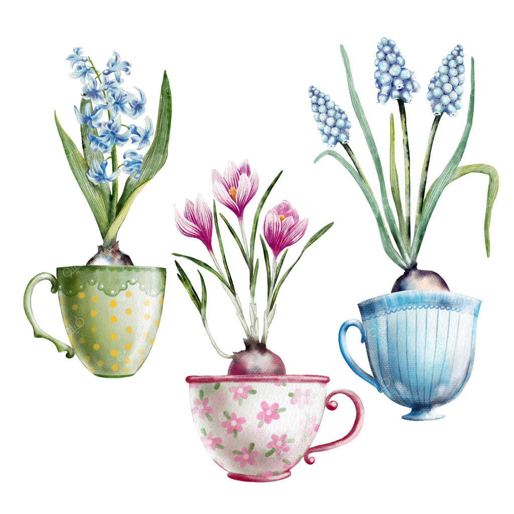 مجموعه زردهای نقاشی شده با دست در فنجان‌های چای