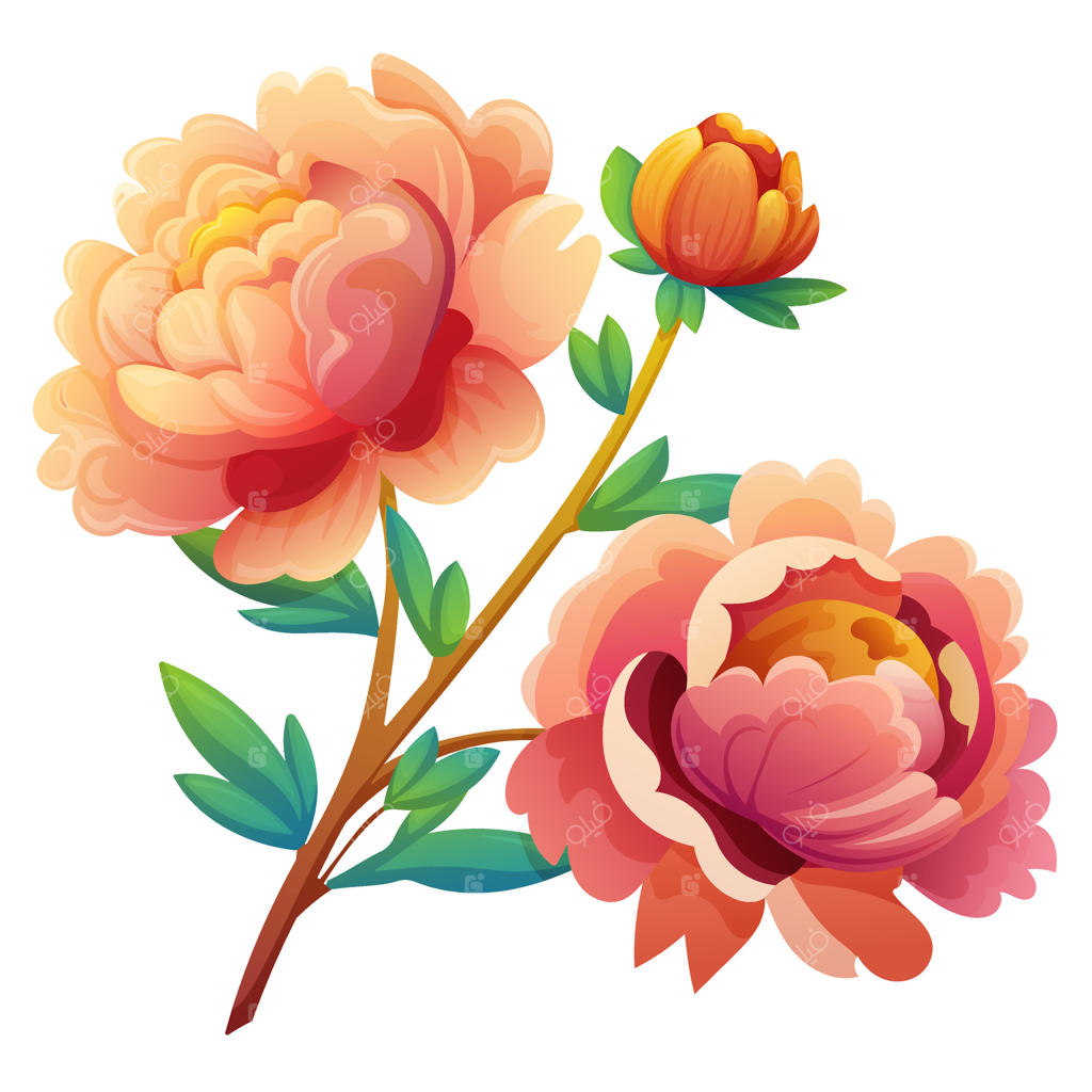 شاخه گل صد تومانی صورتی با برگ‌ها، کلیپ‌آرت