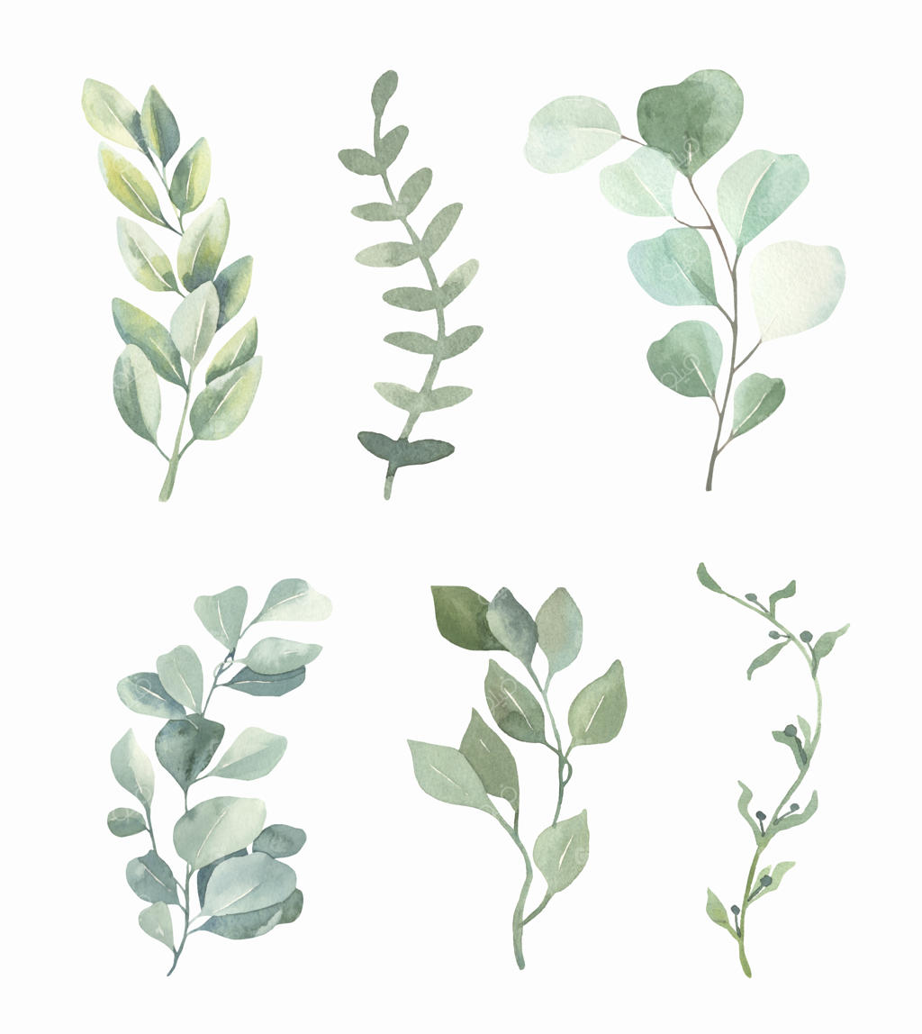 مجموعه‌ای از برگ‌های سبز آبرنگی.