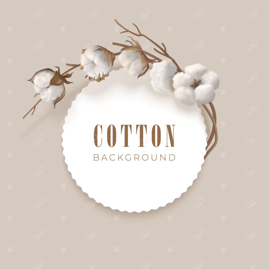 قاب با شاخه پنبه