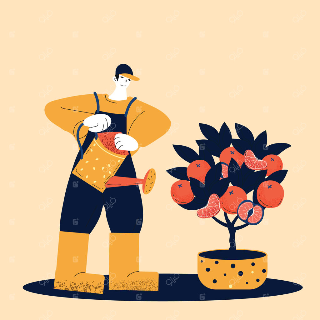 تصویری از باغبانی که با آب‌پاش درخت میوه‌ای پرثمر در گلدان را آبیاری می‌کند.