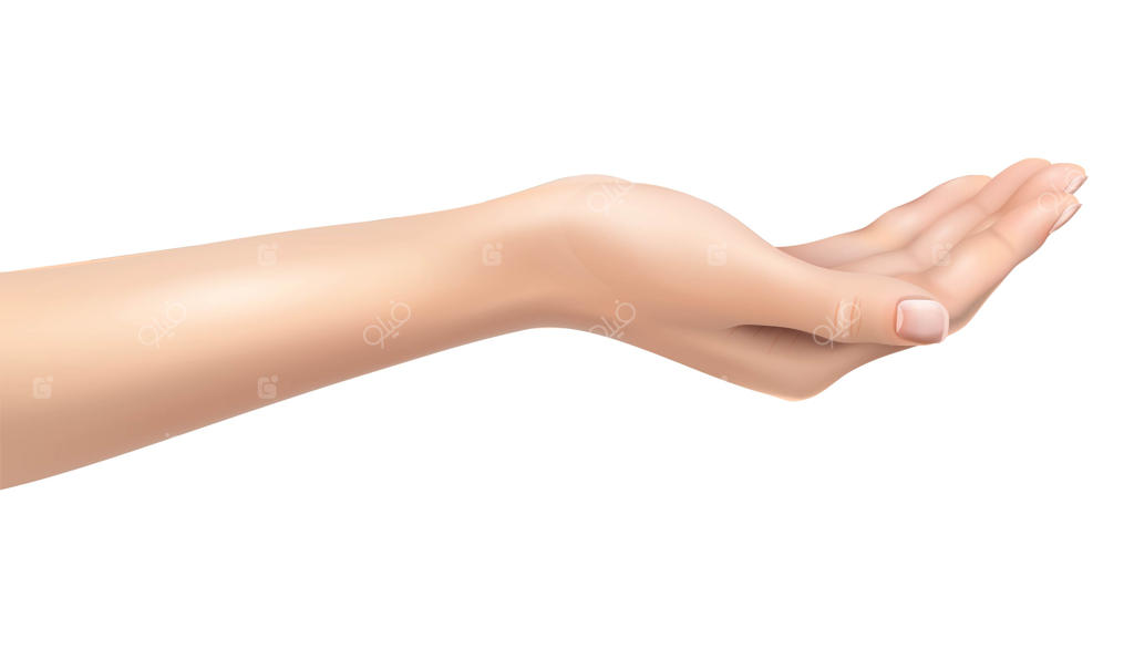 تصویر نماد دست بر روی پس‌زمینه سفید.
