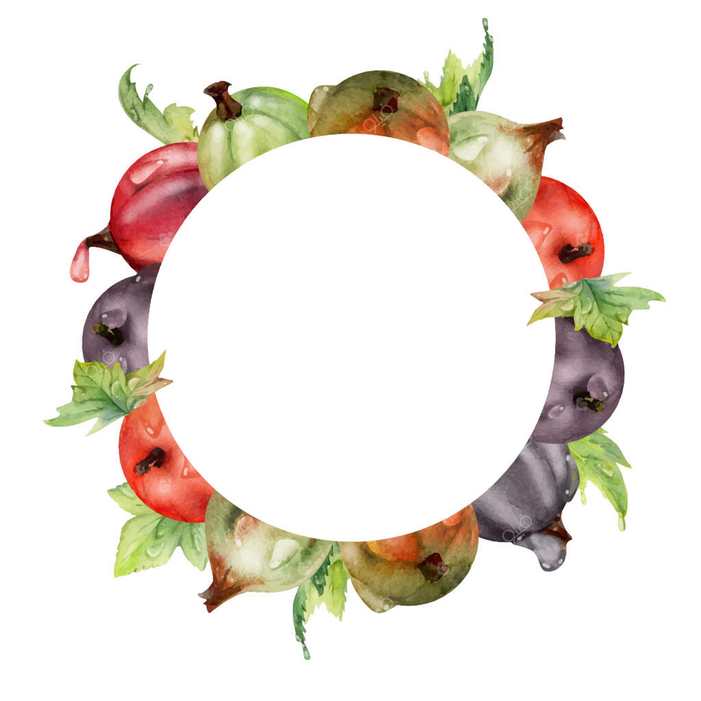 نزدیک‌نمایی انگور سیاه با برگ‌های شبنم‌زده، میوه‌های رسیده باغچه شامل جوسبری، جون‌بری و کاسل در نقاشی آبرنگ. قاب تاج‌گل جداگانه. فروشگاه مواد غذایی ارگانیک و نوشیدنی‌های تازهٔ طبیعی