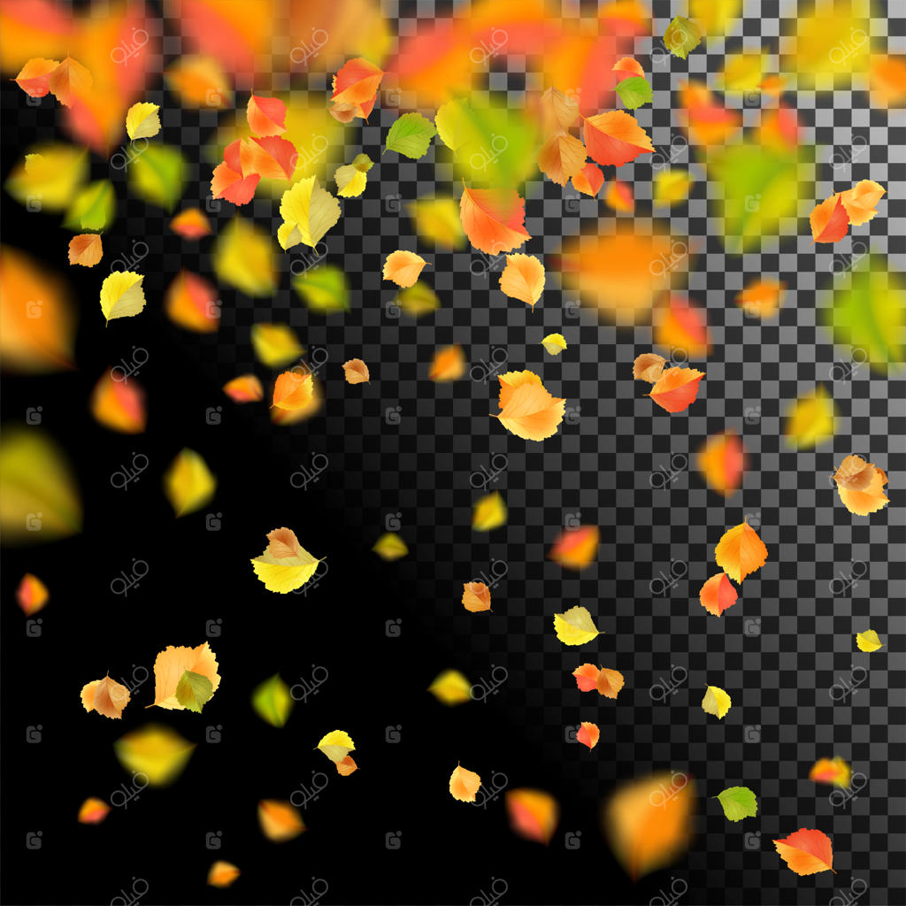 پرواز پاییزی یا ریزش برگ‌ها