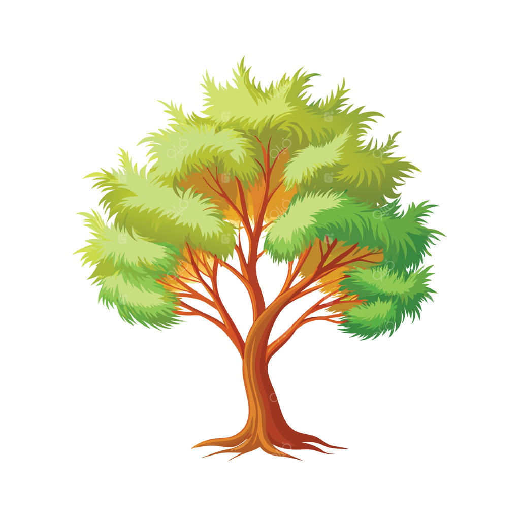 تصویری زیبا از یک درخت بزرگ تنها