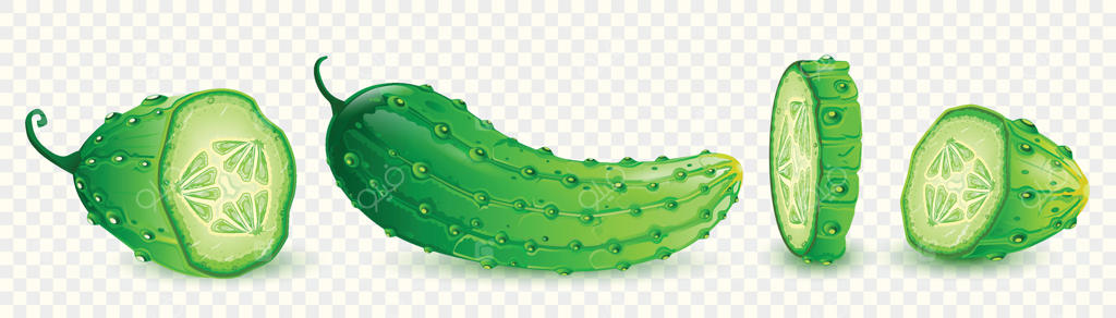 خیار سبز واقعی، کامل و برش‌ خورده. مناسب برای دستورپخت‌های سالاد یا بصری‌های بازاری. تصویرسازی.