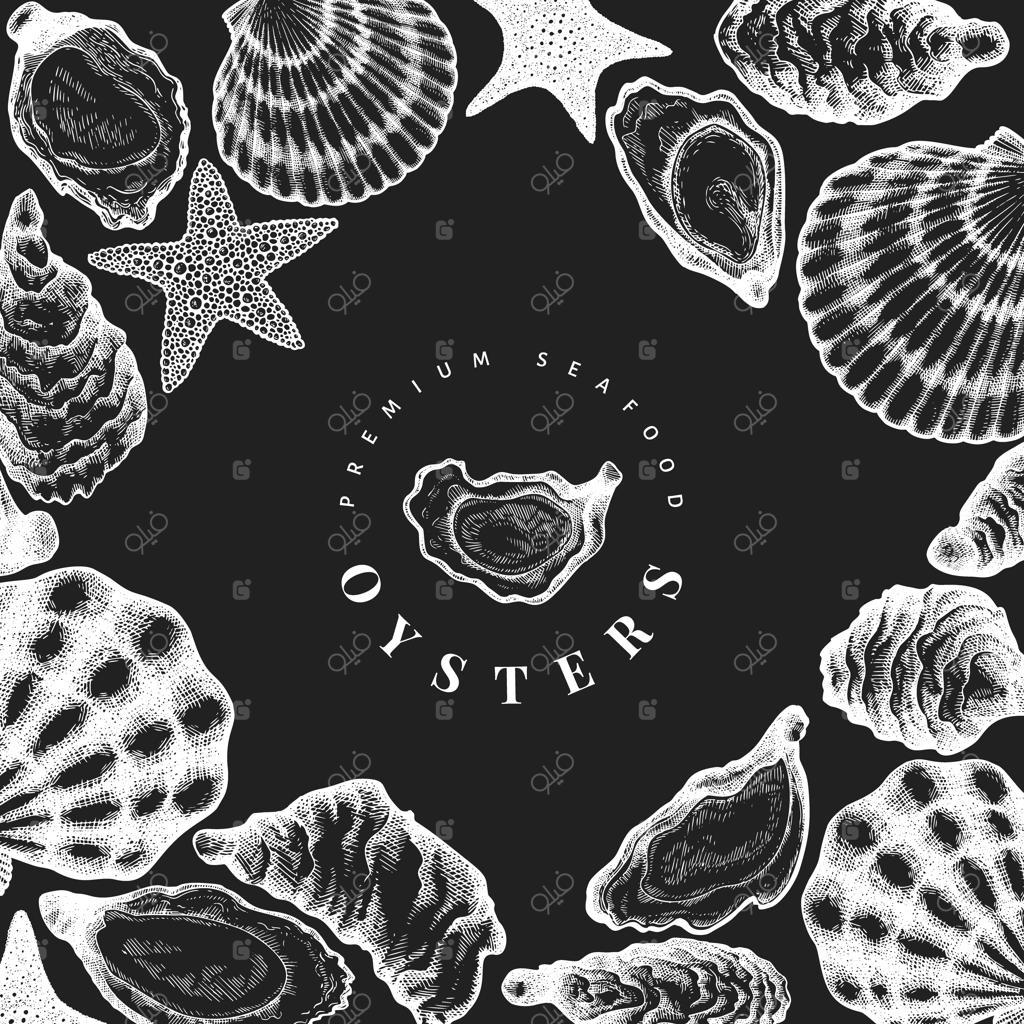 الگوی صدف‌ها: تصویرسازی دستی روی تخته سیاه. غذای دریایی.