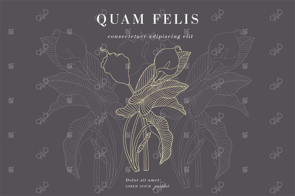 کارت قدیمی با گل‌های کالای لیلی: حلقه گل، قاب گل برای فروشگاه گل با طراحی لیبل. کارت تبریک تابستانی با گل‌های کالای لیلی. پس‌زمینه گل‌ها برای بسته‌بندی محصولات آرایشی.