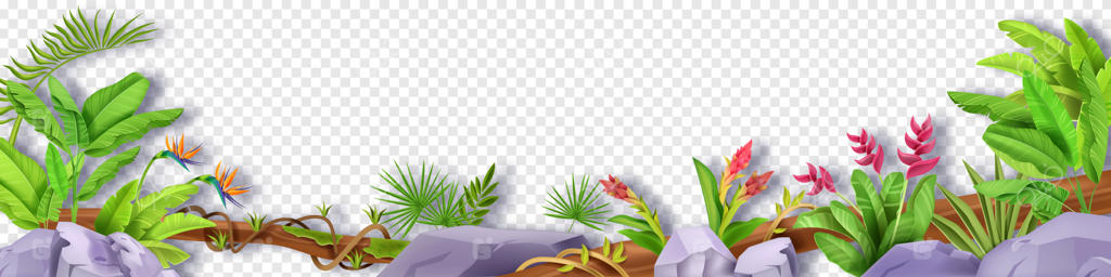 مرز جنگلی با گیاهان برگ های استوایی