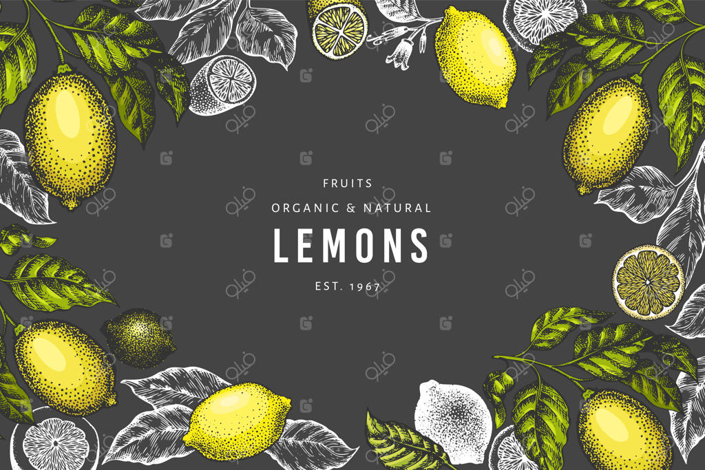 پترن بنر دست‌کشیده درخت لیمو