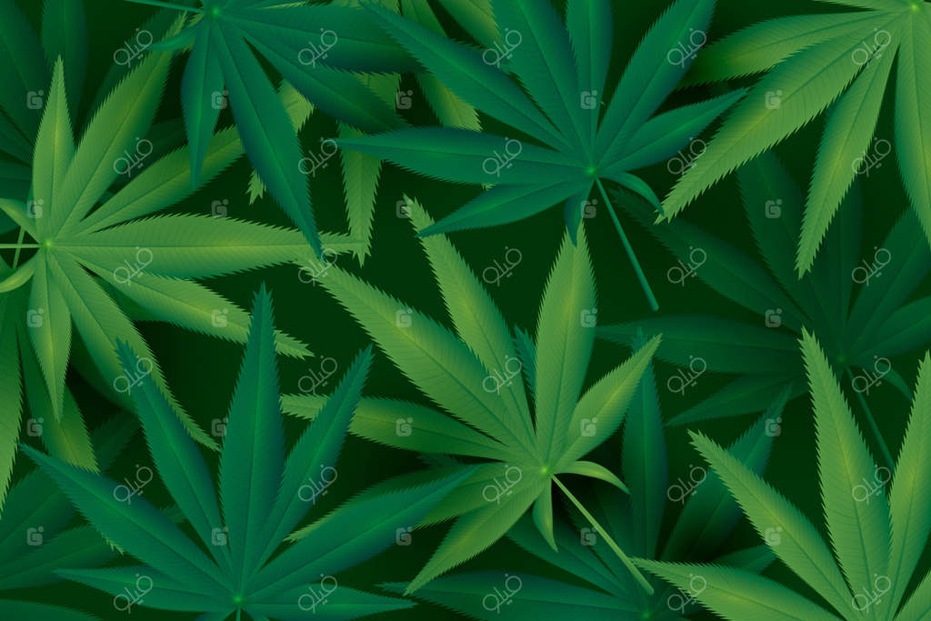 پس‌زمینه برگ شاهدانه با جزئیات واقعی