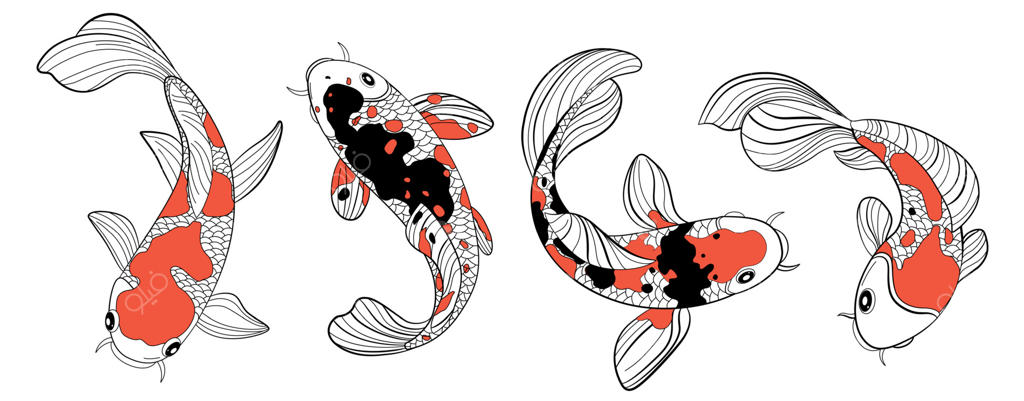 نقاشی رنگی ماهی کوی