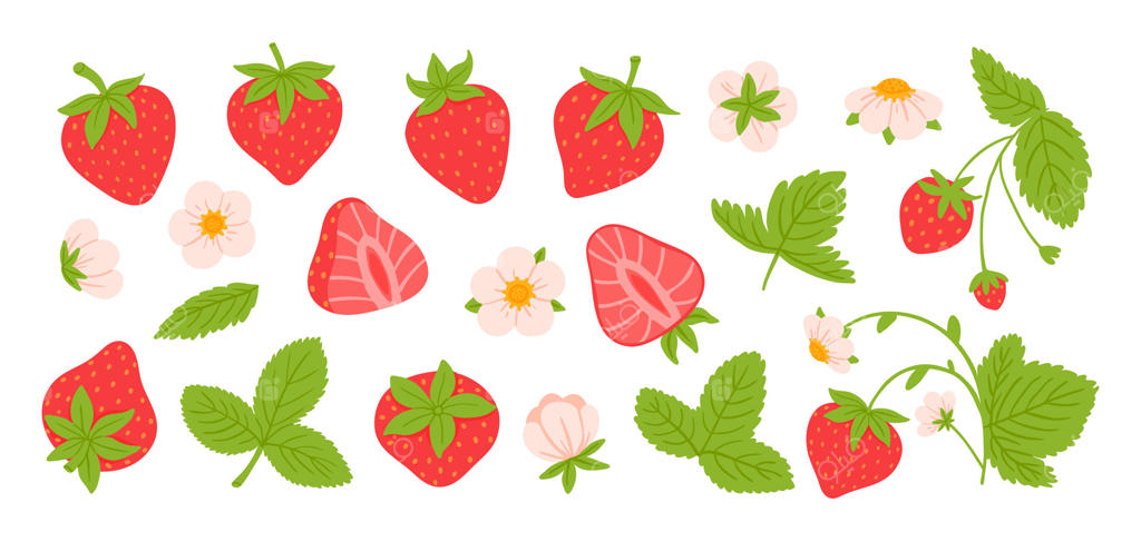 توت‌فرنگی کارتونی: میوه فصل قرمز. میوه‌ای ارگانیک با بدنی قلبی شکل، دانه‌های زرد کوچک، کلاهک برگ‌سبز، برگ‌ها، گل شکوفه. توت‌فرنگی ورقه شده تابستانی. مجموعه‌ای از محصولات طبیعی.
