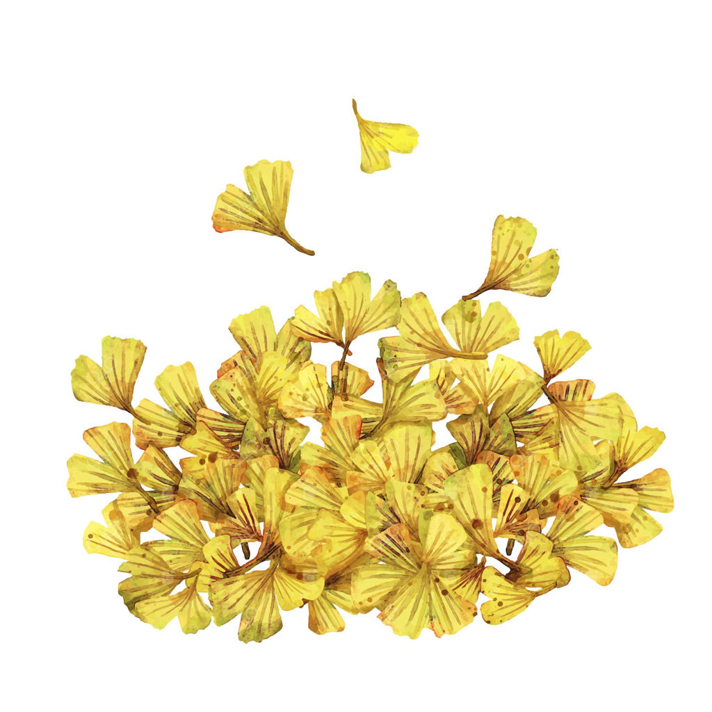 برگ‌های پاییزی با رنگ‌های آب‌رنگی