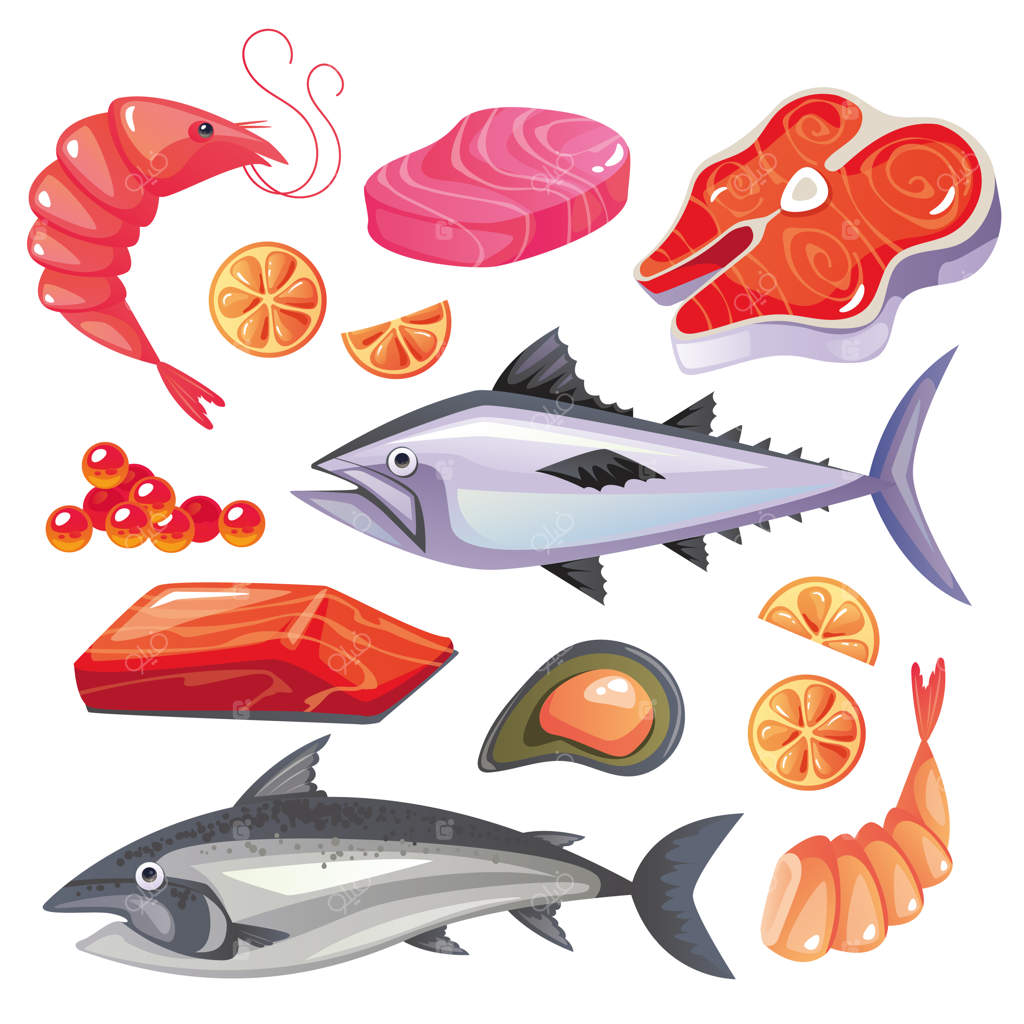 مجموعه عناصر طراحی: ماهی‌های دریایی سالمون، تن، میگو و صدف