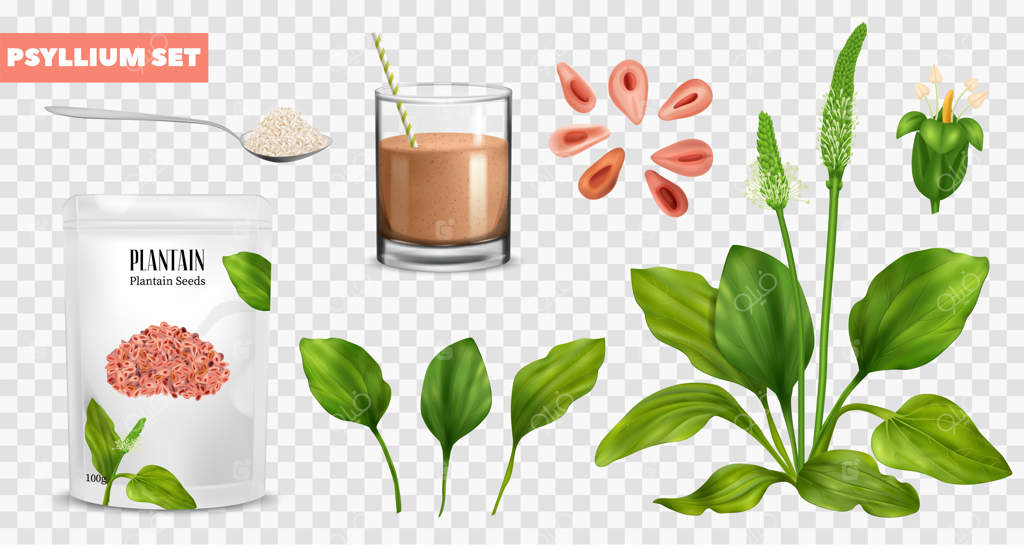 مجموعه آیکون‌های واقعی پسیلیوم با کیسه آرد سوپرفود - تصویر برداری بر روی پس‌زمینه شفاف