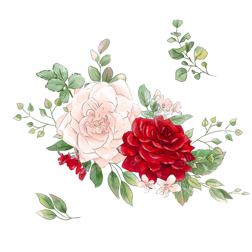 دسته گل رز آبرنگی