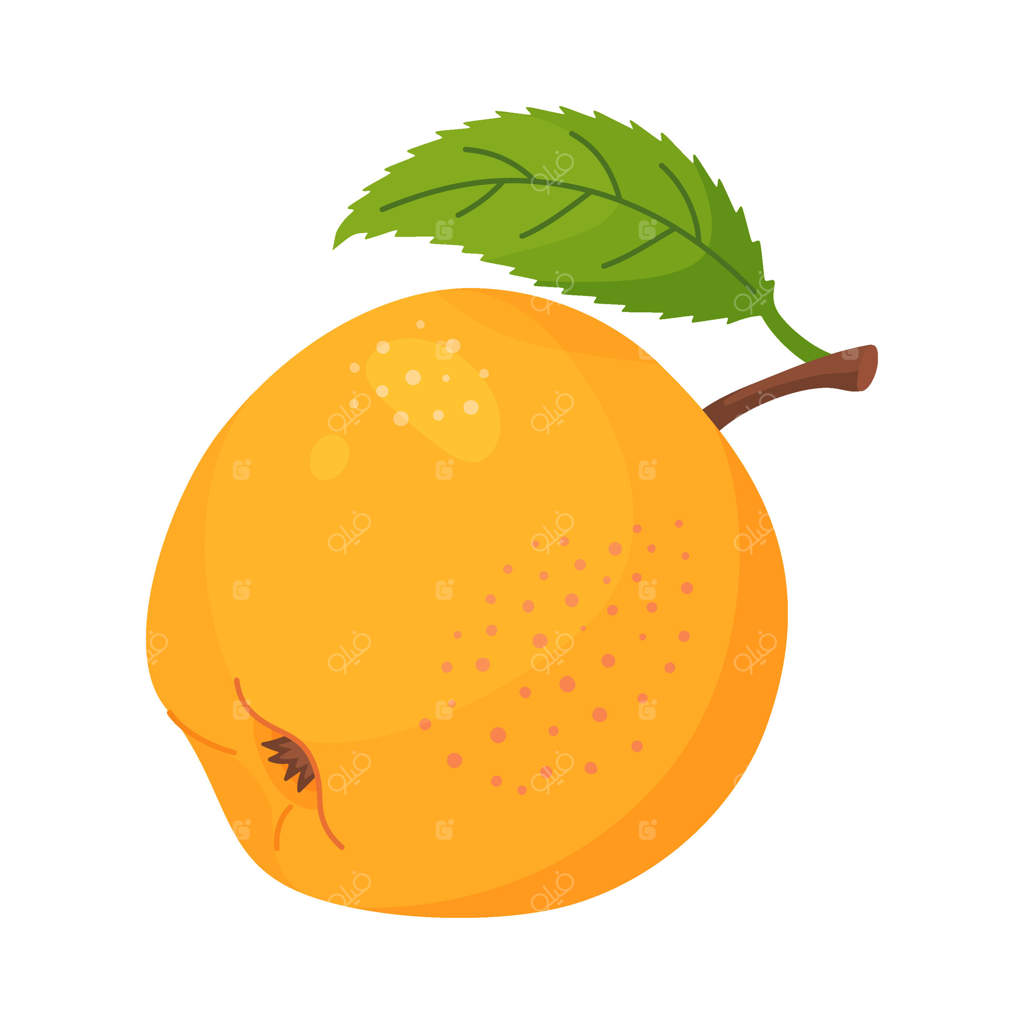 سیب زرد و رسیده با برگ، میوه تازه باغ. کلیپ‌آرت دست‌کشی شده. میوه کامل با برگ سبز، سبک ساده و آیکون بر روی زمینه شفاف