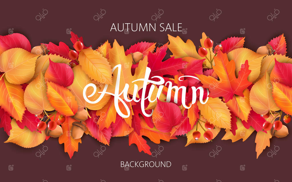 پس‌زمینه انتزاعی با برگ‌ها، بلوط‌ها و توت‌ها. فروش ویژه پاییزی