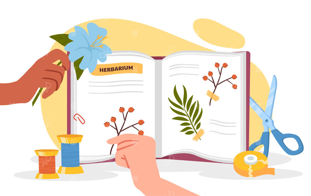 مفهوم کتاب هرباریوم، دست همراه با گیاهان، قیچی و نخ، آموزش زیست‌شناسی و گل‌آرایی