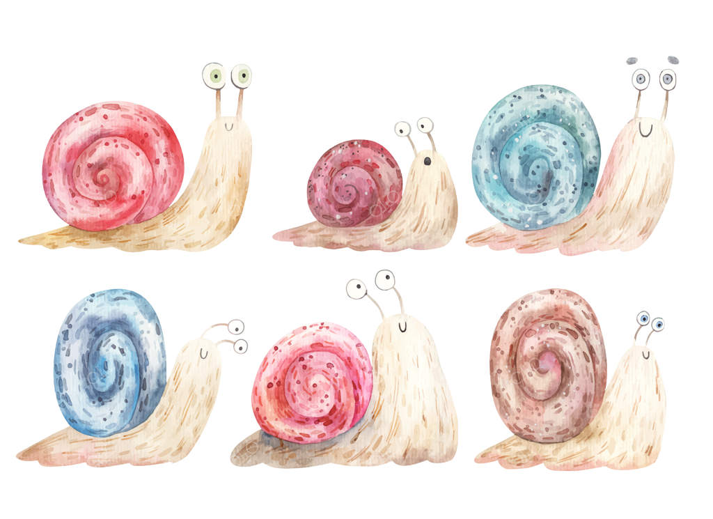 مجموعه‌ای از حلزون‌های کارتونی با چشم‌های بزرگ و صدف‌های رنگارنگ، تصویرسازی.