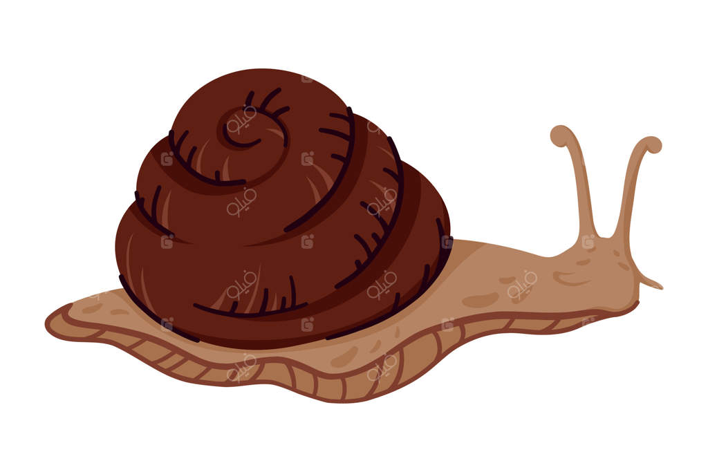 حلزون قهوه‌ای دوست‌داشتنی با پوسته مارپیچ و شاخک‌ها. نقاشی دستی یک نرم‌تن وحشی بر روی زمینه سفید. موجودی آهسته و جذاب برای طرح‌های طبیعت یا حیوانات