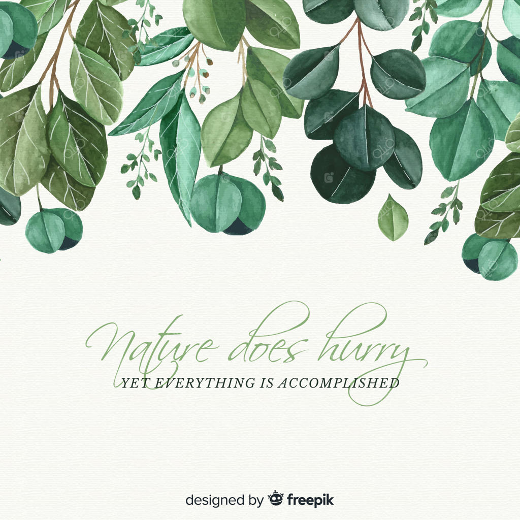 پس‌زمینه‌ای از طبیعت همراه با نقل‌قول