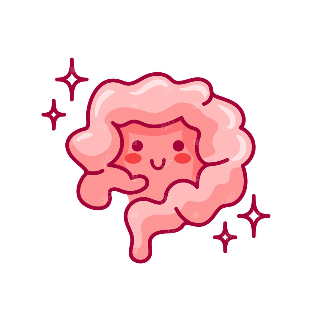 کاراکتر بامزه و کاوایی روده؛ تصویرسازی اندام سالم دستگاه گوارش، مناسب برای استیکر، کتاب، طراحی و بروشورهای پزشکی.