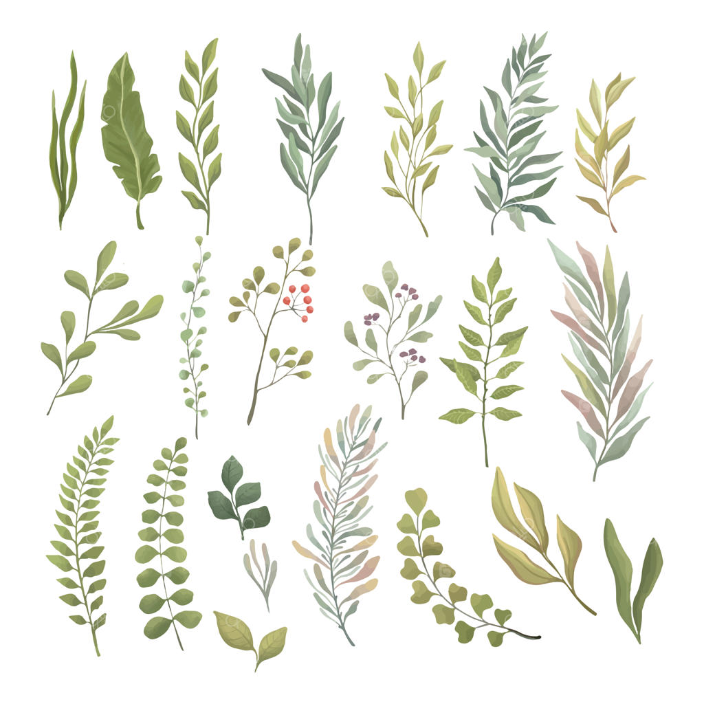 مجموعه‌ای از برگ‌ها و شاخه‌های سبز: برگسار تازه و سبز تابستان برای تاج گل، حاشیه و طراحی کاغذ دیواری.