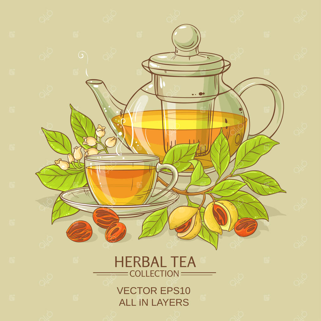 تصویرسازی چای جوز هندی