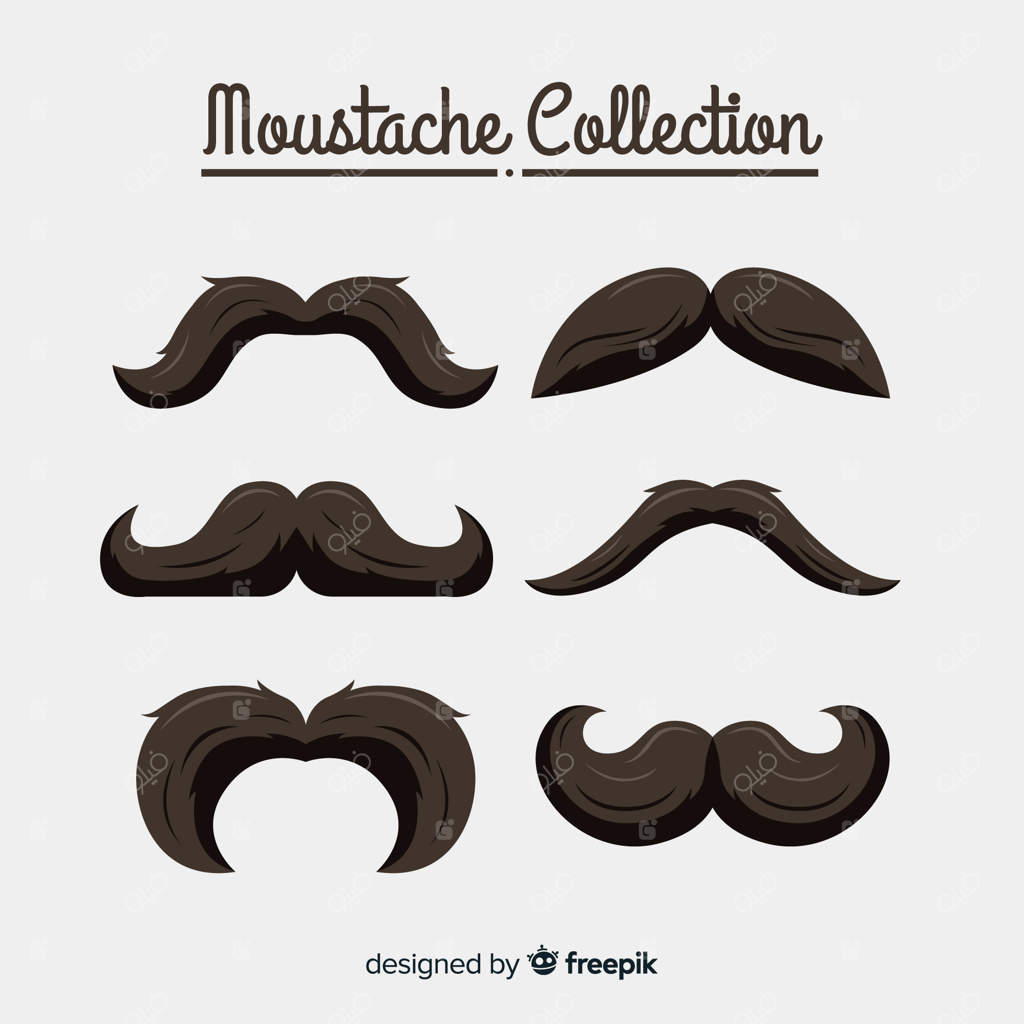 مجموعه سیبیل‌های نوامبر در طرح‌های مختلف و طراحی مدرن‌