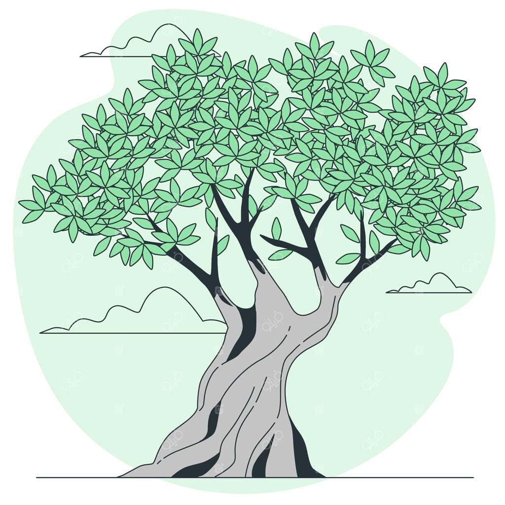 تصویرسازی مفهومی درخت زیتون