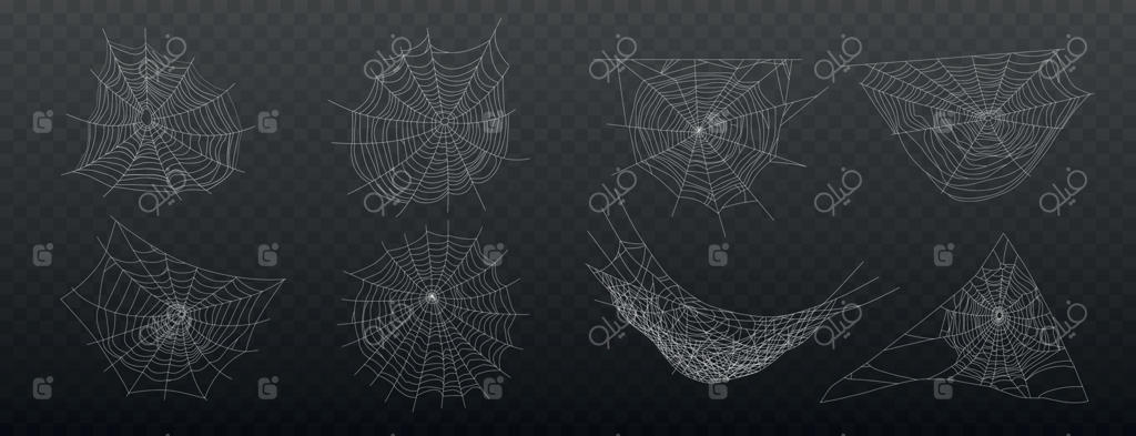 مجموعه آیکون تار عنکبوت واقعی